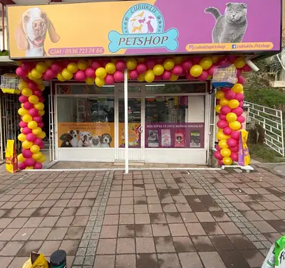 Çubuklu Petshop
