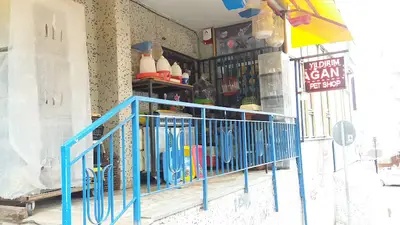 Zeyna PETSHOP canlı hayvan satışı yoktur