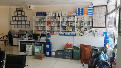 KENT VETERİNER KLİNİĞİ