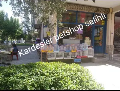 Lidya Akvaryum