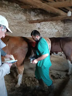 Sarıkaya Veteriner Kliniği
