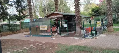 Güzelyalı Kedi Evi fotoğrafı