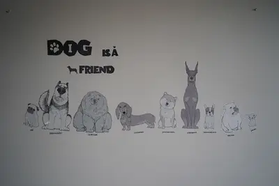 Pet Kolej fotoğrafı