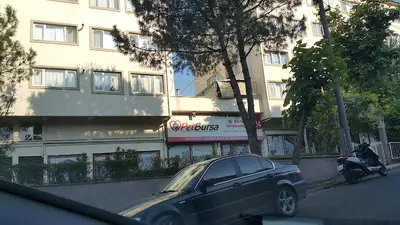 Pet Bursa fotoğrafı