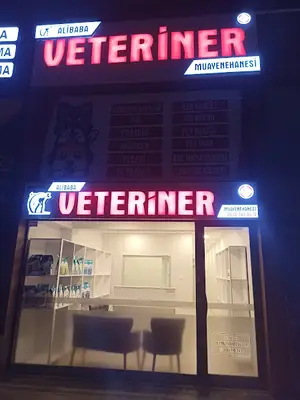 Sancaktepe Alibaba Veteriner Muayenehanesi