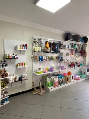 Pet Zone Veteriner Kliniği