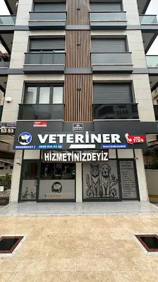 Modernvet Veteriner Kliniği 7/24 Acil Veteriner Nöbetçi Veteriner Maltepe