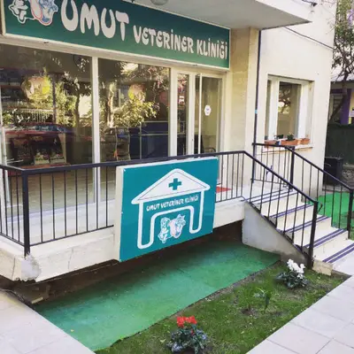 Umut veteriner kliniği