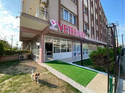 Pergamon Veteriner Kliniği