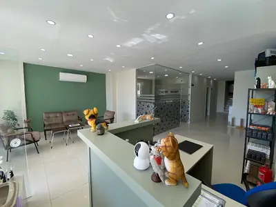Manavgat Vetplus Veteriner Kliniği fotoğrafı