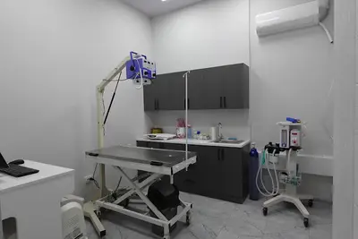 GoPetia Veteriner Kliniği