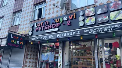 İlgi Akvaryum