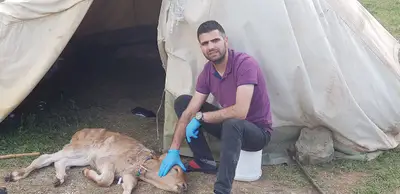 Alagöz Veteriner Kliniği