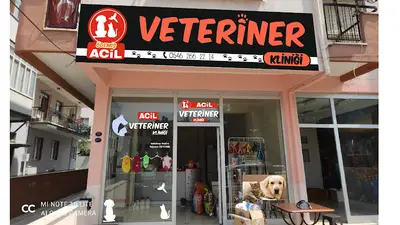 Veteriner Hekim Atila Katırcı
