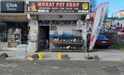 Akvaryum & Petshop