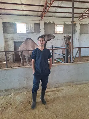 Ararat veteriner kliniği