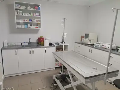 Dogtor Veteriner Kliniği 7/24 | Evcil Hayvan Oteli