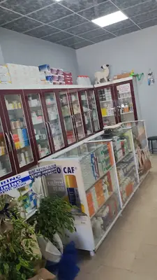 Yüksekkaya veteriner kliniği