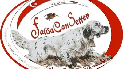 Sanabelle Cat Food fotoğrafı