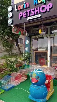 Lorin PETSHOP