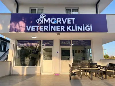 Mordoğan Morvet Veteriner Kliniği