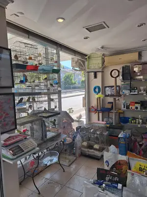 Arı Petshop fotoğrafı