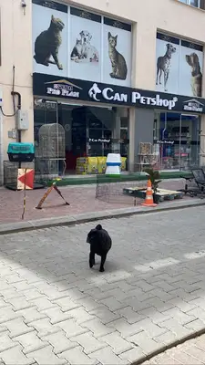 Enes Kuş Evi & Petshop