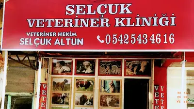 Kahramanmaraş Veteriner Hekim Selçuk Altun