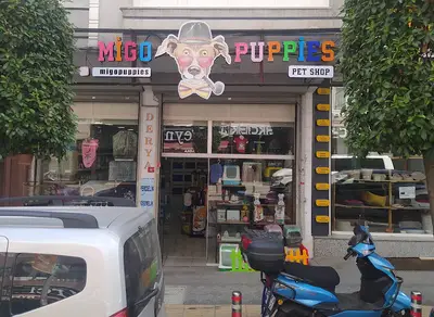 MİGO PUPPİES PETSHOP