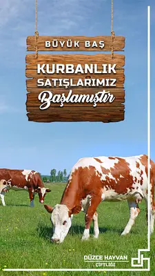 Düzce Hayvan Çiftliği fotoğrafı