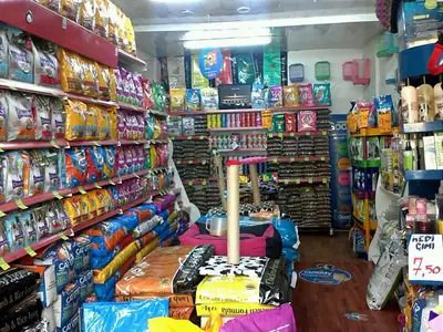 Leon Pet Shop