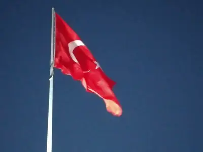 PENDİK BELEDİYESİ HAYVAN BARINAĞI