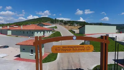 Muğla Belediyesi Hayvan Barınağı