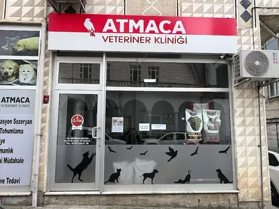 Bekir Çobanoğlu Veteriner Kliniği