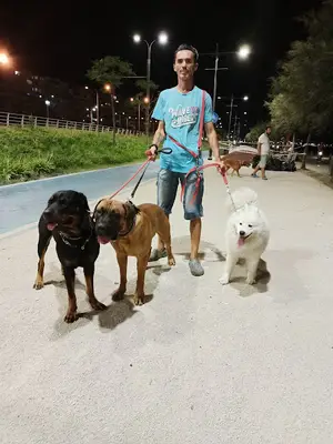 Kırmızıkedi Pet Kuaför Pansiyon fotoğrafı