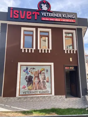 Veteriner Hekim