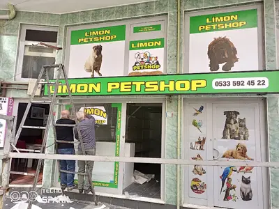 Limon petshop fotoğrafı