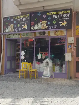 Sevimli patiler pet