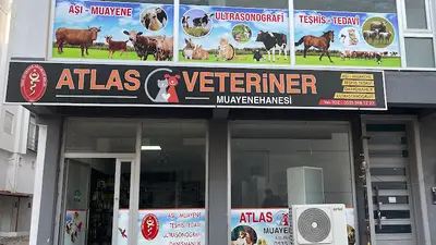 Veteriner Hekim Mustafa Bezgincan