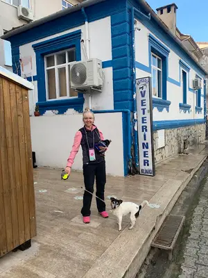 Orvet Veterinerlik