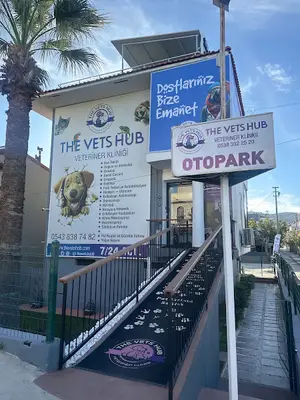 The Vets Hub Veteriner Polikliniği - İzmir