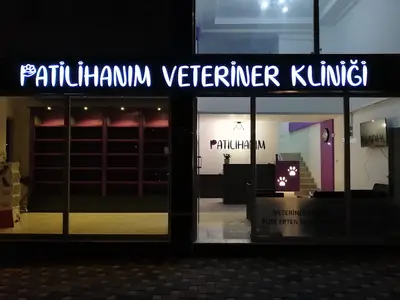 Ayrancılar Patilihanım Veteriner Kliniği