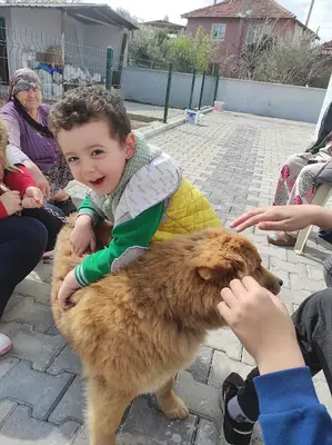 Perakut Veteriner Kliniği