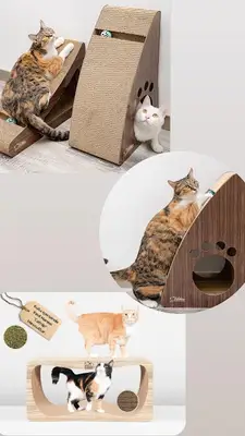 Jasmin Petshop