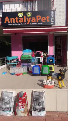 AntalyaPet Öğretmenevleri Şubesi