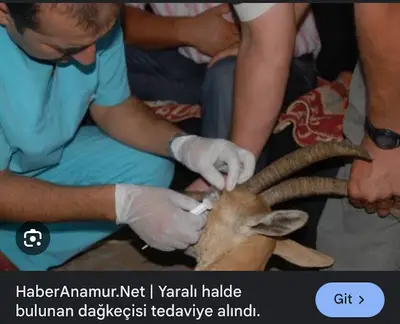Tuğrul Veteriner Kliniği
