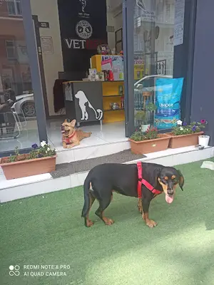 Burdur Veteriner Hekimler Odası