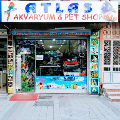 Atlas Pet Shop Akvaryum ‍