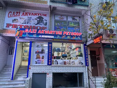 Gazi Akvaryum Pet Shop