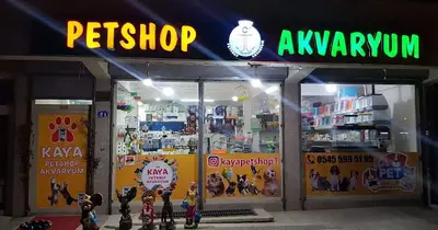 Kaya Akvaryum Petshop